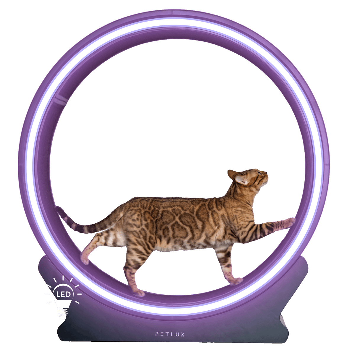 Set of rings Running wheel V2