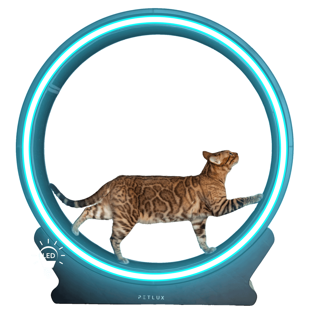 Set of rings Running wheel V2