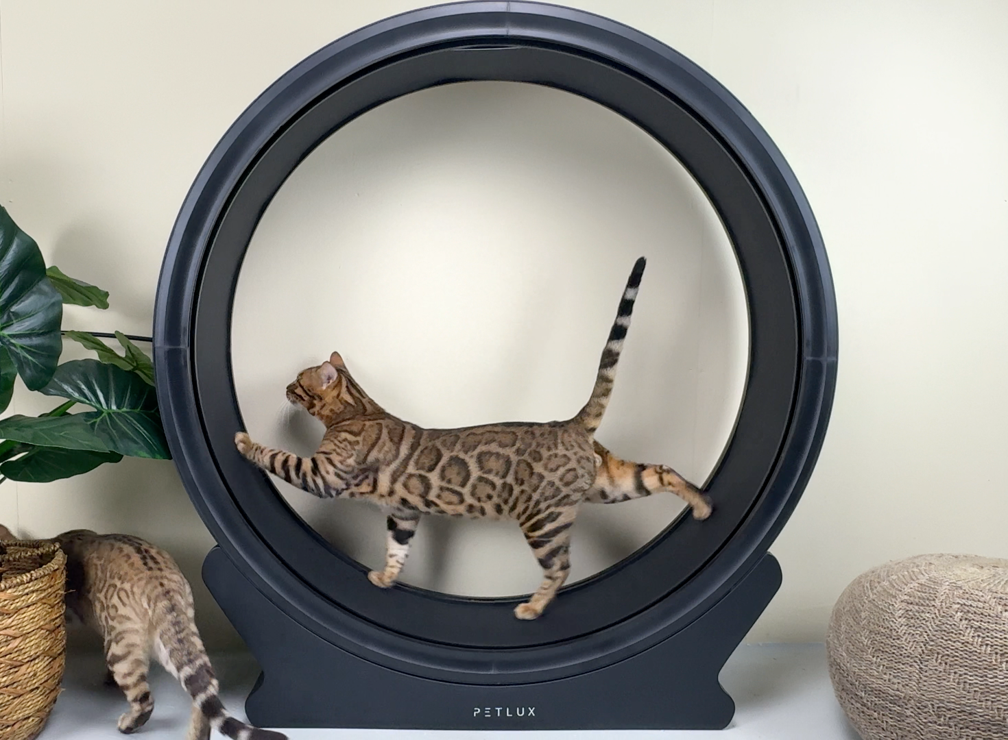 Running wheel running wheel for cat V2