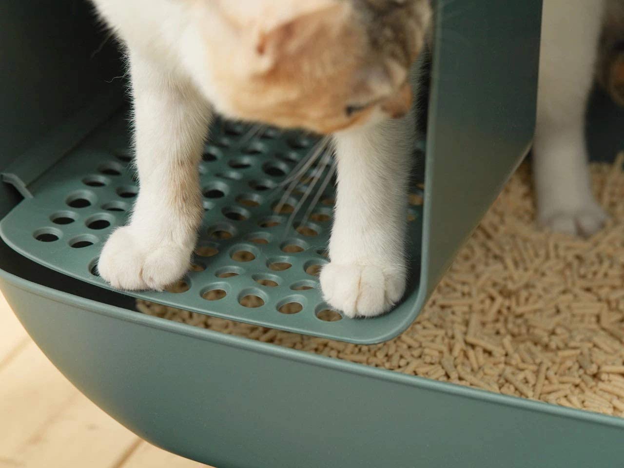 Designer litter box with drawer by MS!