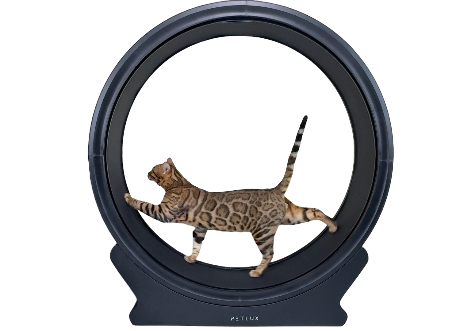 Running wheel / running wheel for cat V2