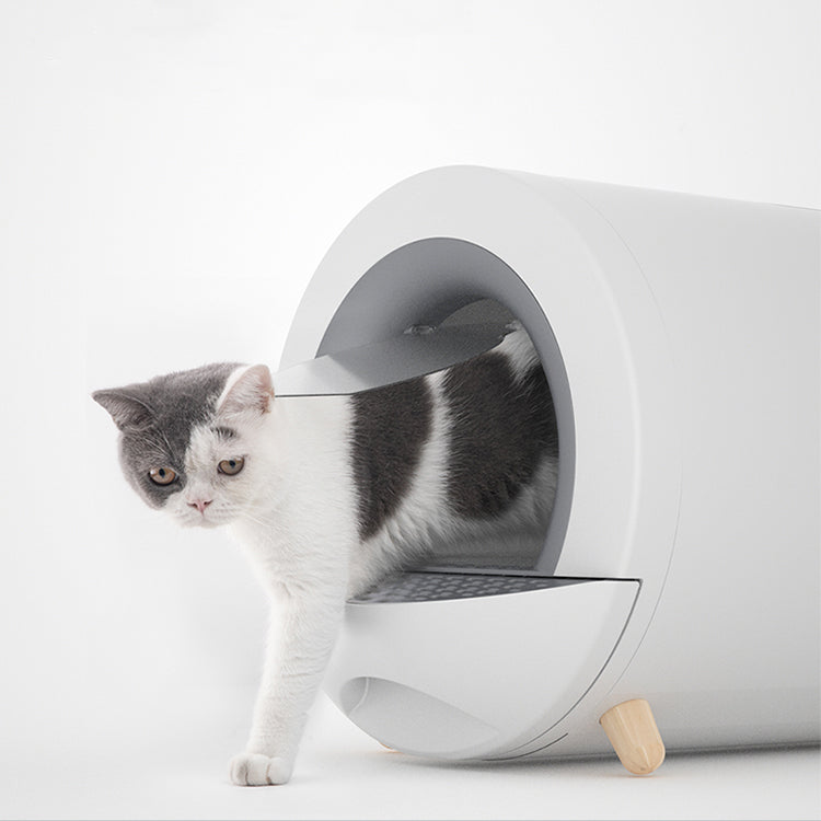 Cat tunnel hot sale litter box