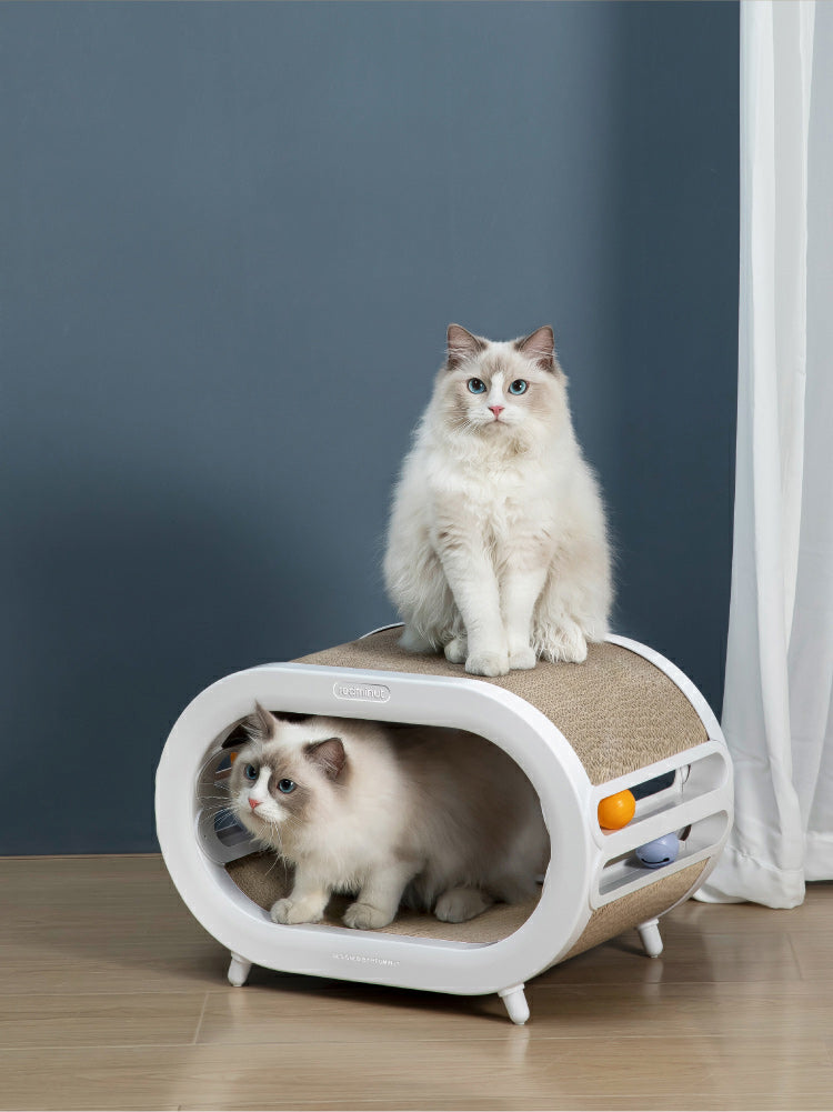 3-in-1 scratching house and cat bed
