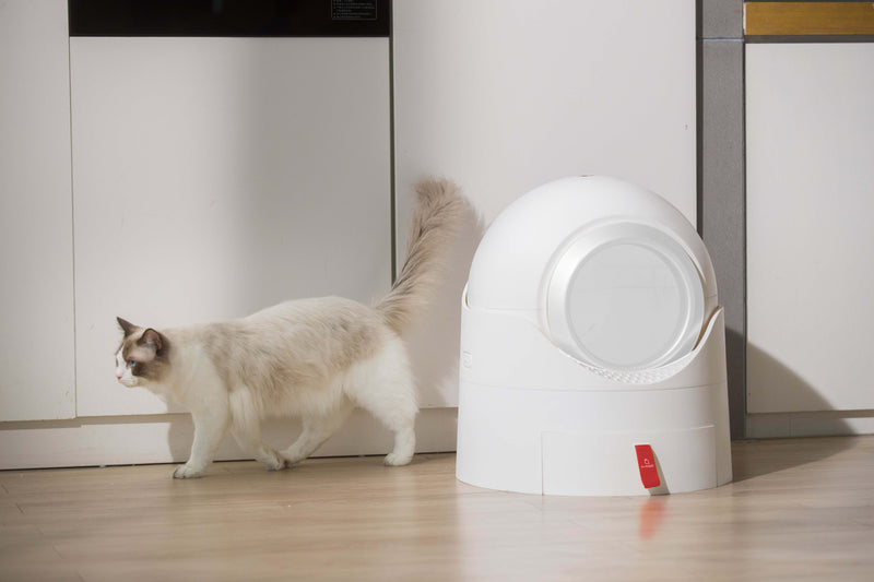 Semi-automatic litter box with odor filter
